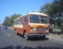 autobuz-tata