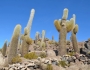 Inkawasi Island, Bolivia