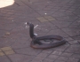 dsc04702