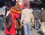 dsc04720
