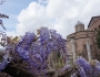 Il Palatino - Roma