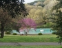 Villa Borghese - Roma