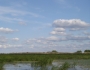 dsc03766