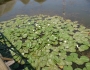 dsc00989