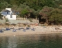 Thassos - cu barca Thassos - cu barca