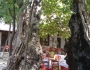 Thassos - Kazaviti Thassos - Kazaviti