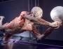 human-body-1