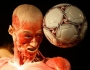 human-body-2