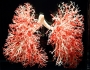 human-body-3