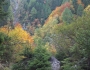 valea-cerbului-9