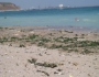 Vama Veche