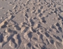 Vama Veche