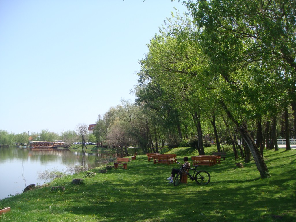 Parcul de Aventuri Comana
