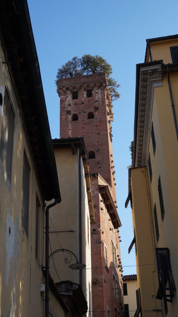 Torre Guinigi, Lucca