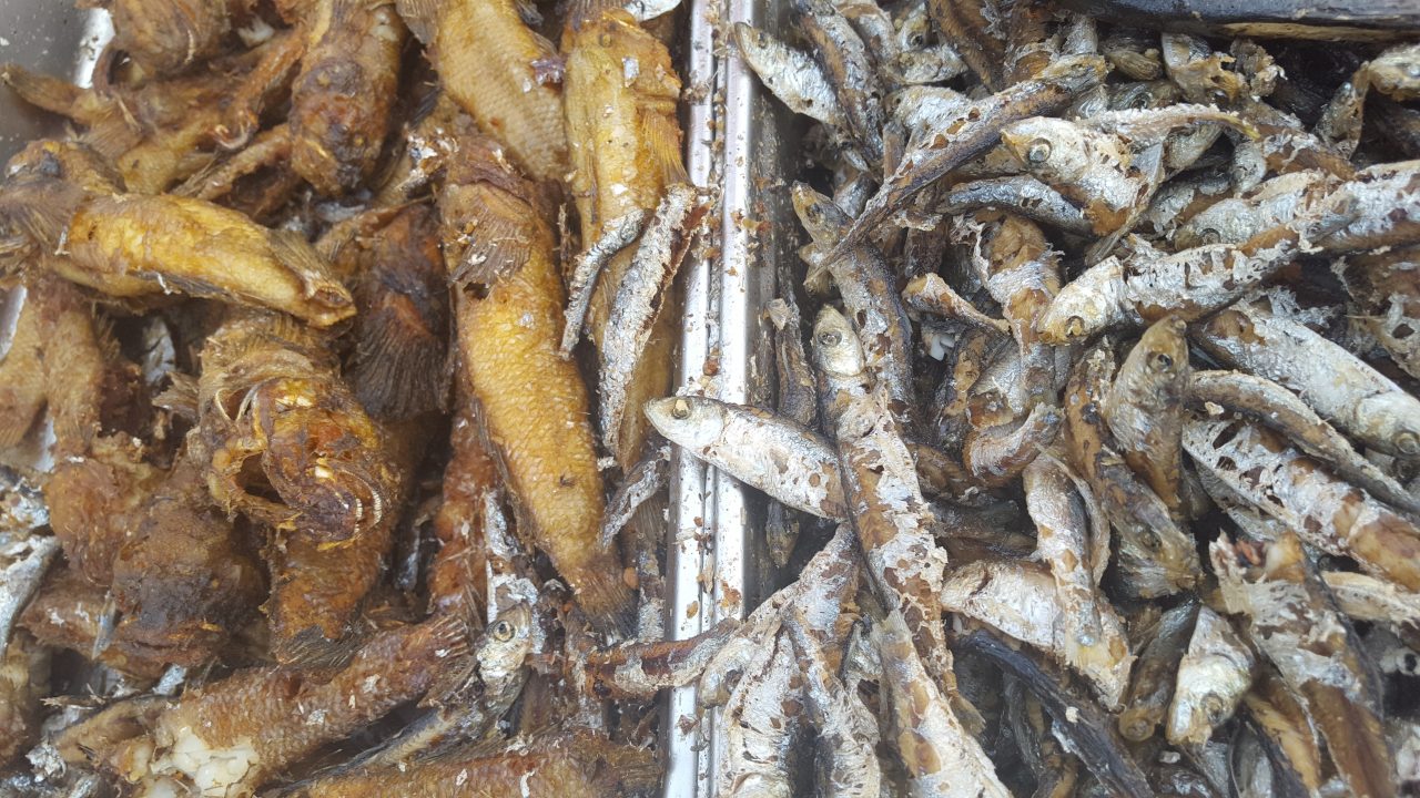 Taverna Racilor Fish Market - Bucuresti